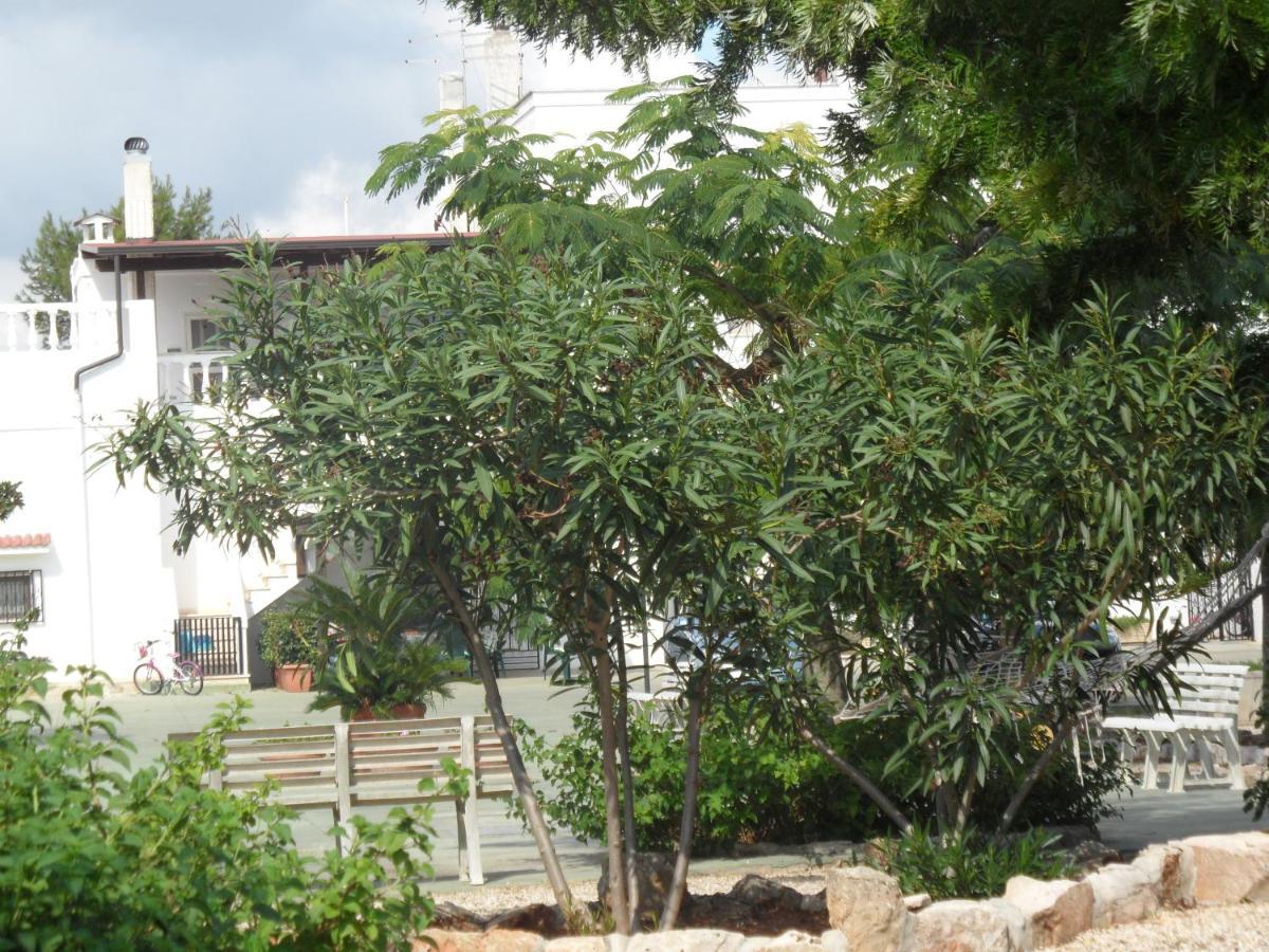 Azienda Agrituristica Masseria Campi San Vito dei Normanni Exteriér fotografie