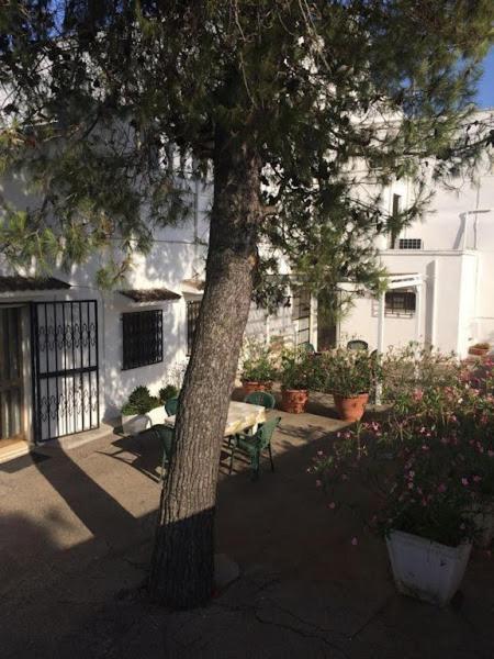 Azienda Agrituristica Masseria Campi San Vito dei Normanni Exteriér fotografie